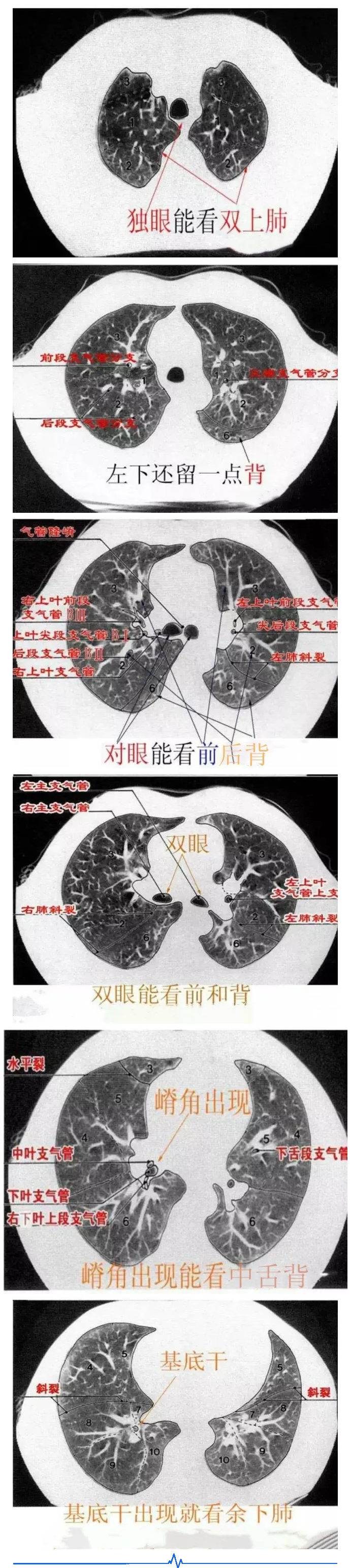 石家庄医院