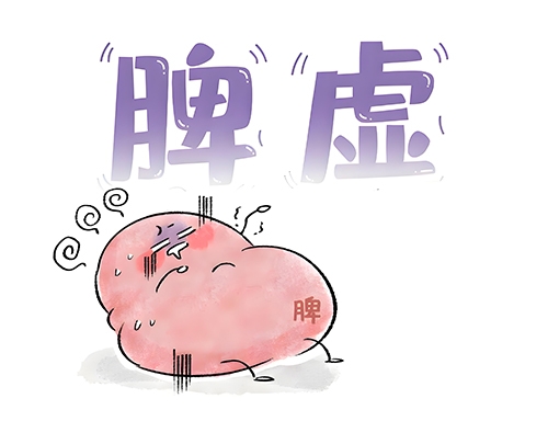 胆汁是如何产生和排泄的，在消化中起什么作用？